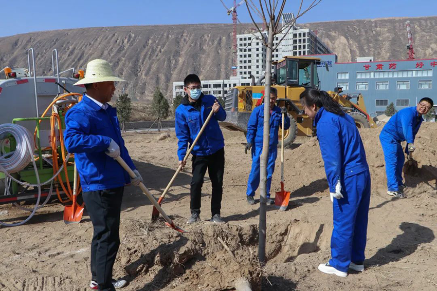 【“三抓三促”进行时】“植初心、种未来、栽种希望，与陇神戎发共成长”——陇神戎发组织开展植树活动