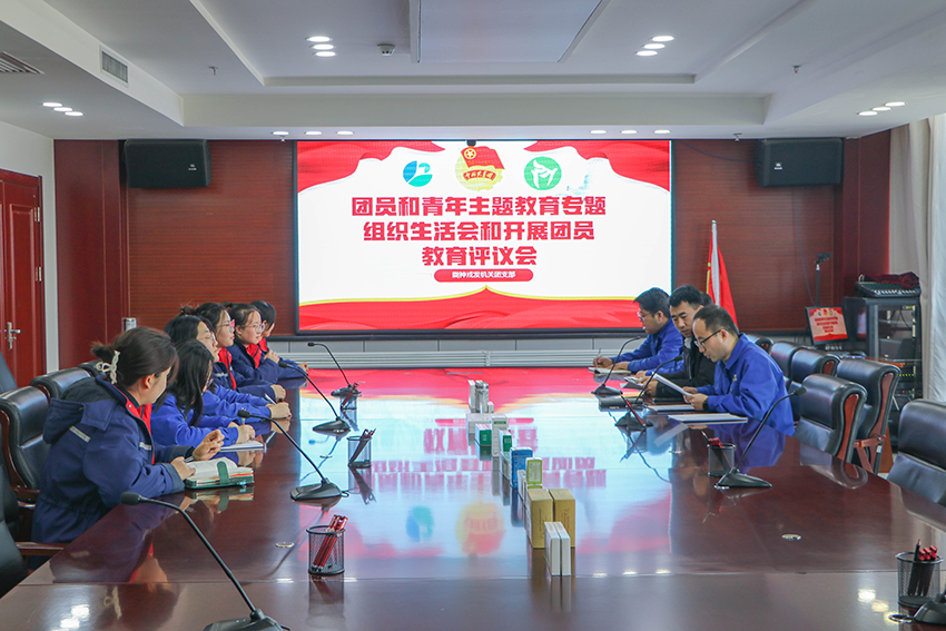 奋楫笃行守初心 砥砺奋进新征程 | 陇神戎发团总支组织开展团员和青年主题教育专题组织生活会