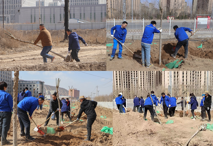 迎春“植”绿，共“树”美丽家园——陇神戎发组织开展植树活动