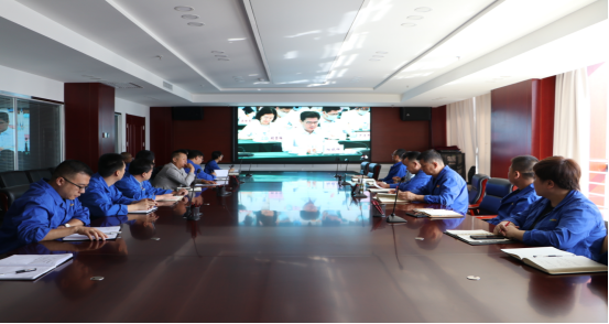 甘肃陇神戎发药业股份有限公司参加对标世界一流管理提升视频推进会