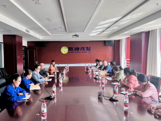 甘肃药业投资集团工作组一行到陇神戎发开展研发费用专项检查