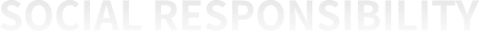 社会责任英文