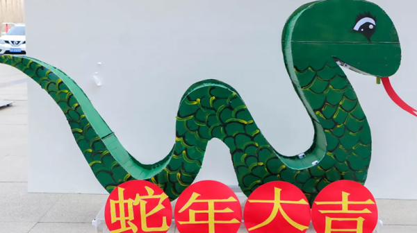 “彩灯映元宵·谜趣共团圆”——陇神戎发元宵节文化活动热闹开展